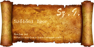 Szőlősi Igor névjegykártya